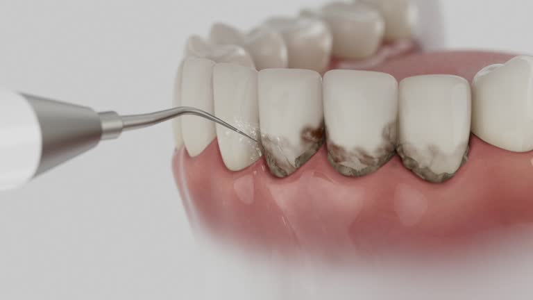 Reliable Dental contractor in East Palestine, OH by Dentist Open Now